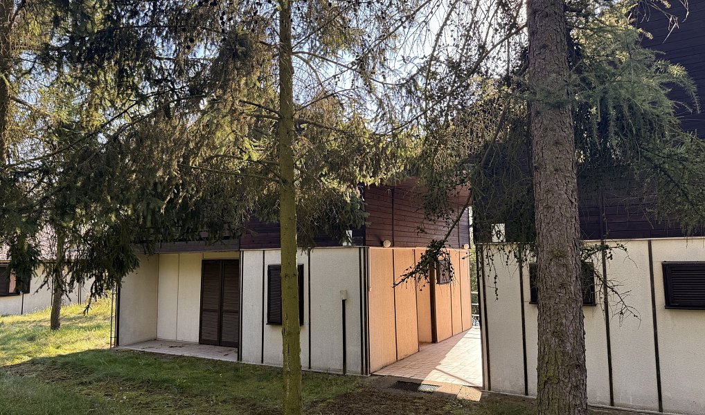 Prodej chaty/chalupy 180 m² s pozemkem 694 m², Račice – náhled fotky 16