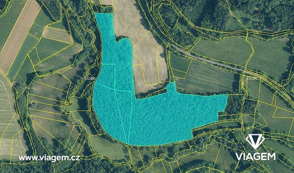 Prodej lesa 7 020 m², Čmelíny – náhled fotky 3