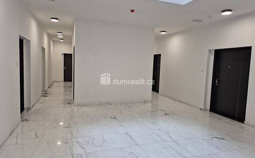 Pronájem bytu 3+kk 100 m², Plaská, Plzeň - Bolevec
