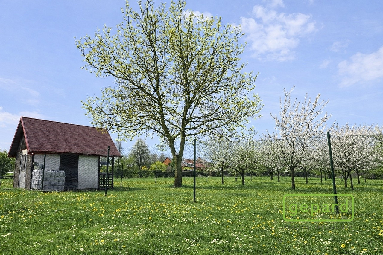 Prodej pozemku 878 m² – fotografie 2