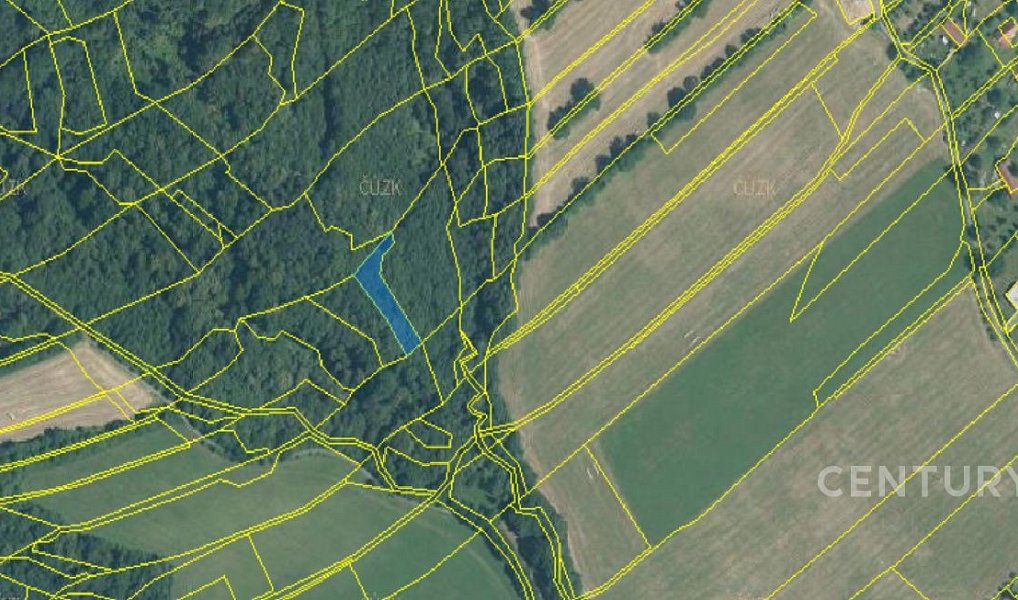 Prodej lesa 40 228 m², Nový Jičín – náhled fotky 8