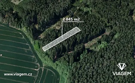 Prodej lesa 948 m², Děkanovice, okres Benešov