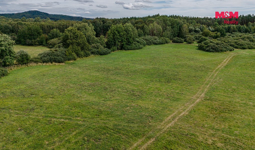 Prodej louky 14 822 m², Jestřebí – náhled fotky 2