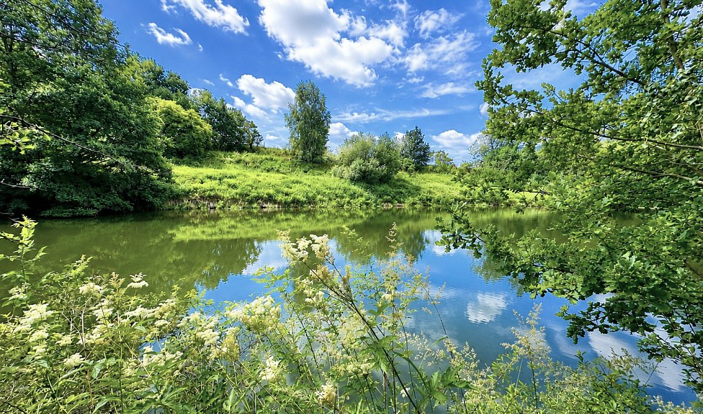 Prodej vodní plochy 25 771 m², Dačice – náhled fotky 20