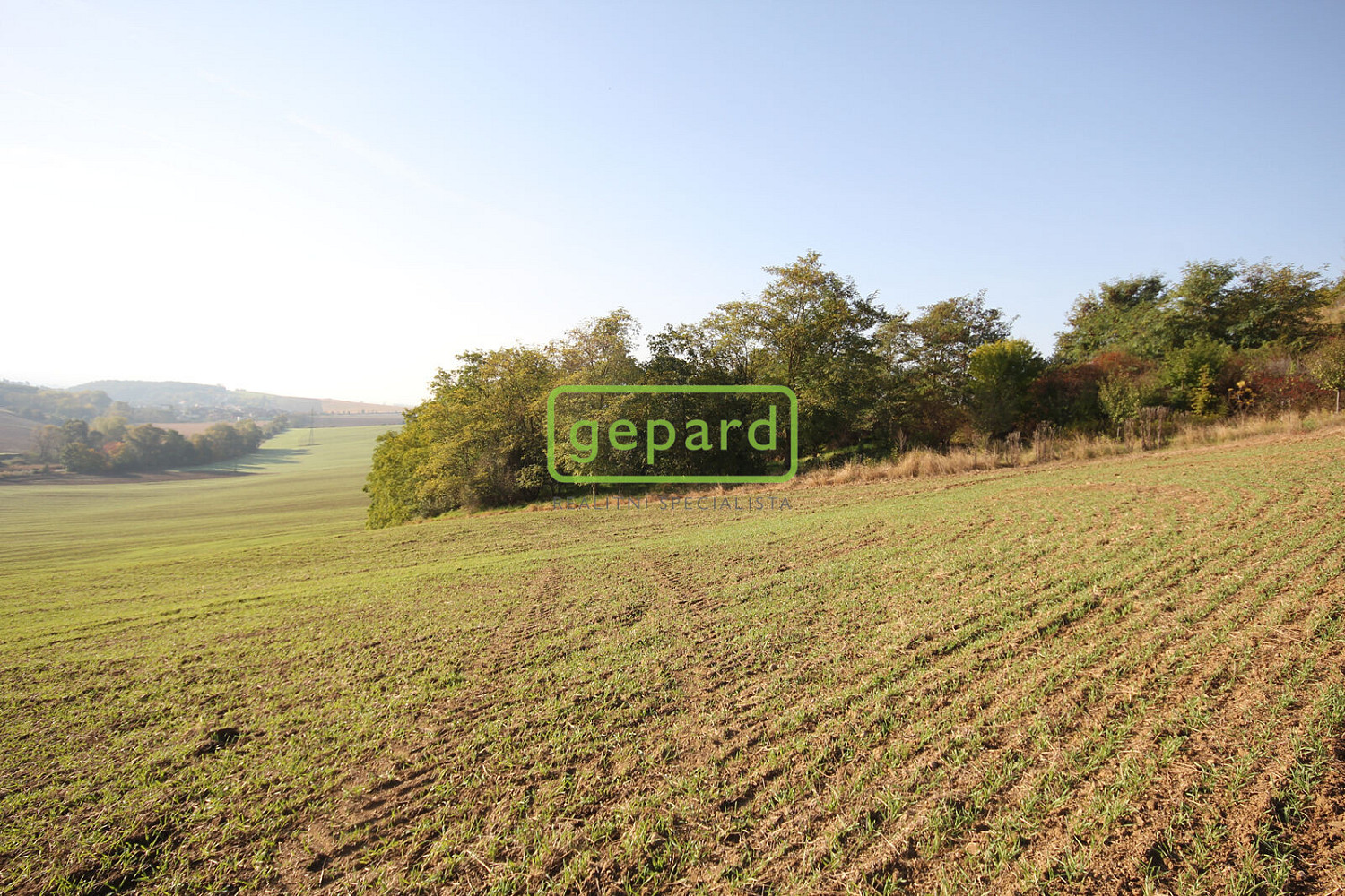 Prodej stavebního pozemku 3 885 m² – fotografie 4