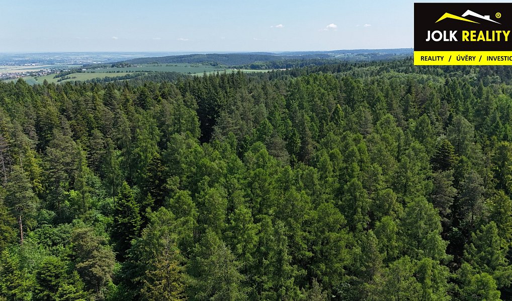 Prodej lesa 13 182 m², Vršovice – náhled fotky 13