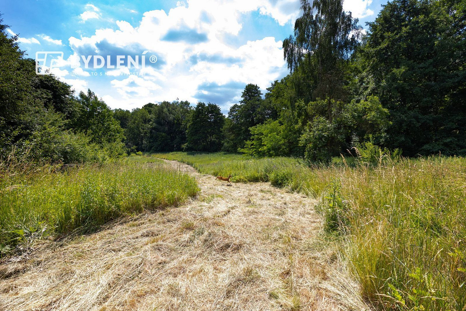 Prodej stavebního pozemku 5 381 m² – fotografie 5