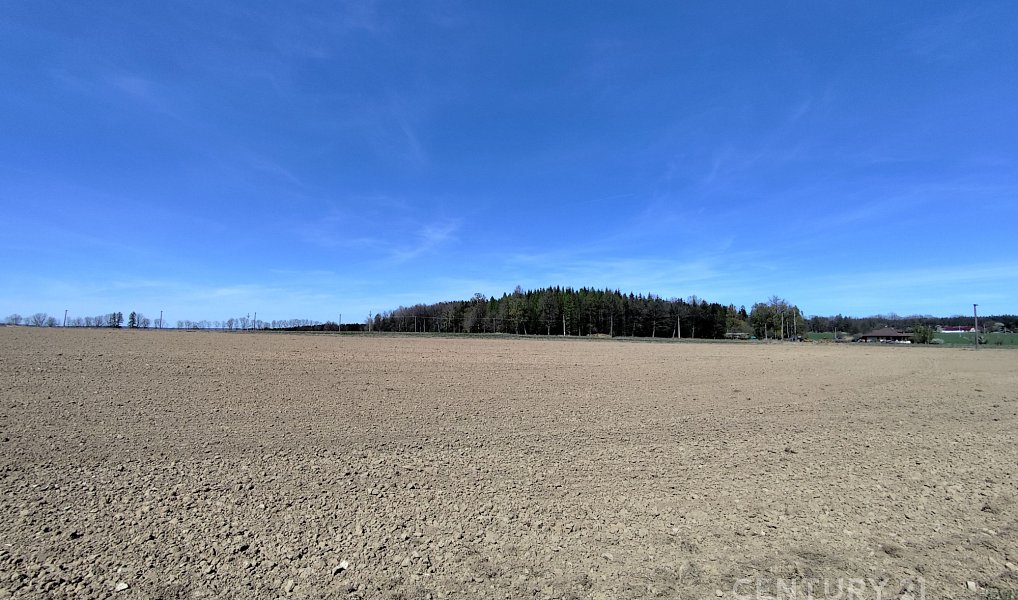 Prodej pole 40 119 m², Nová Včelnice – náhled fotky 10