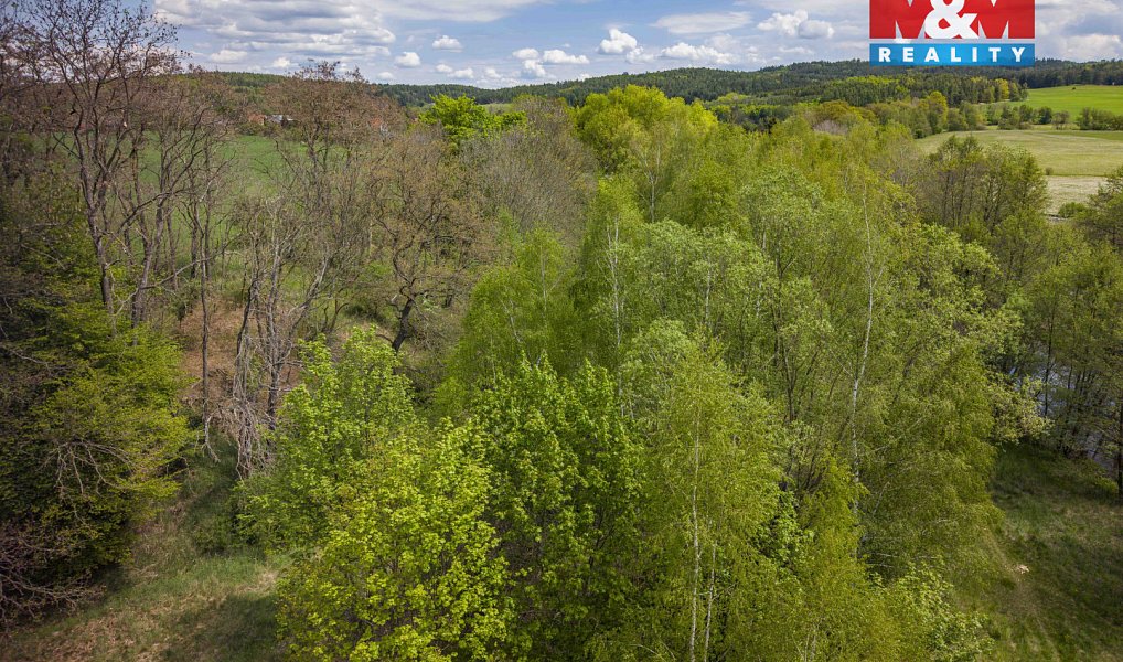 Prodej lesa 909 m², Trhové Dušníky – náhled fotky 4