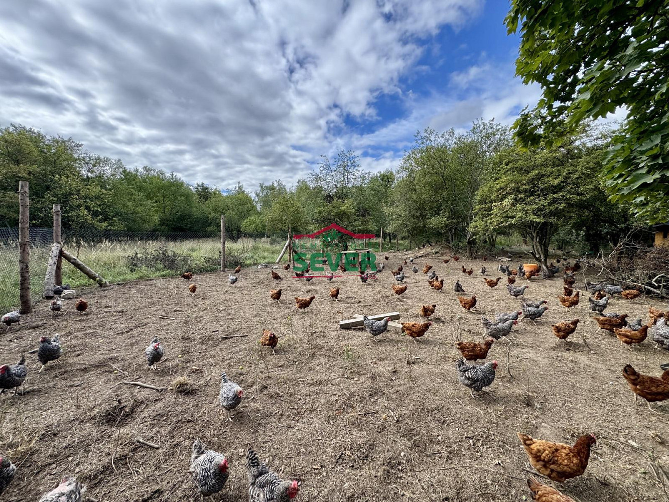 Prodej komerčního pozemku 10 231 m² – fotografie 2