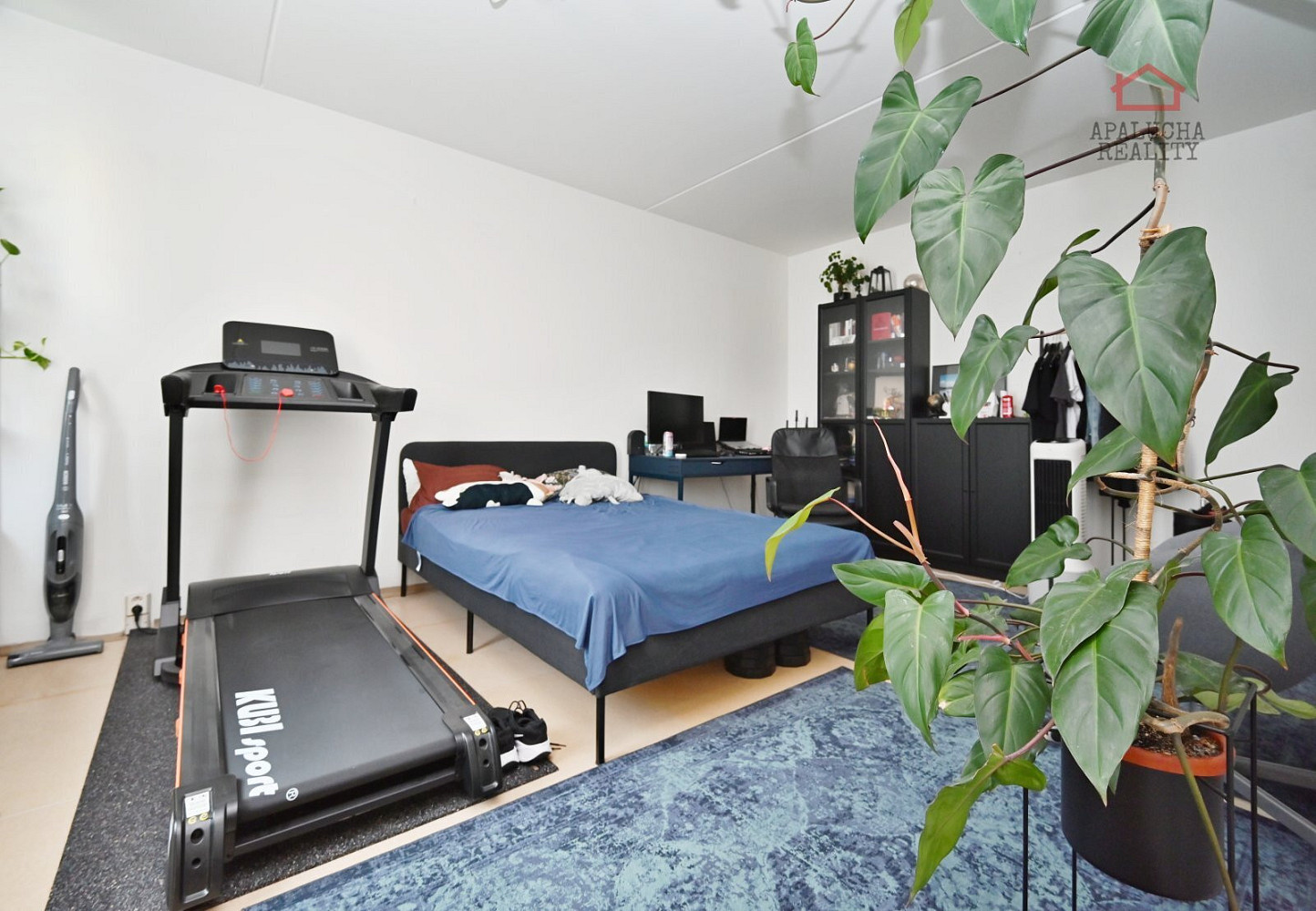 Pronájem bytu 1+1 29 m² — photo 3