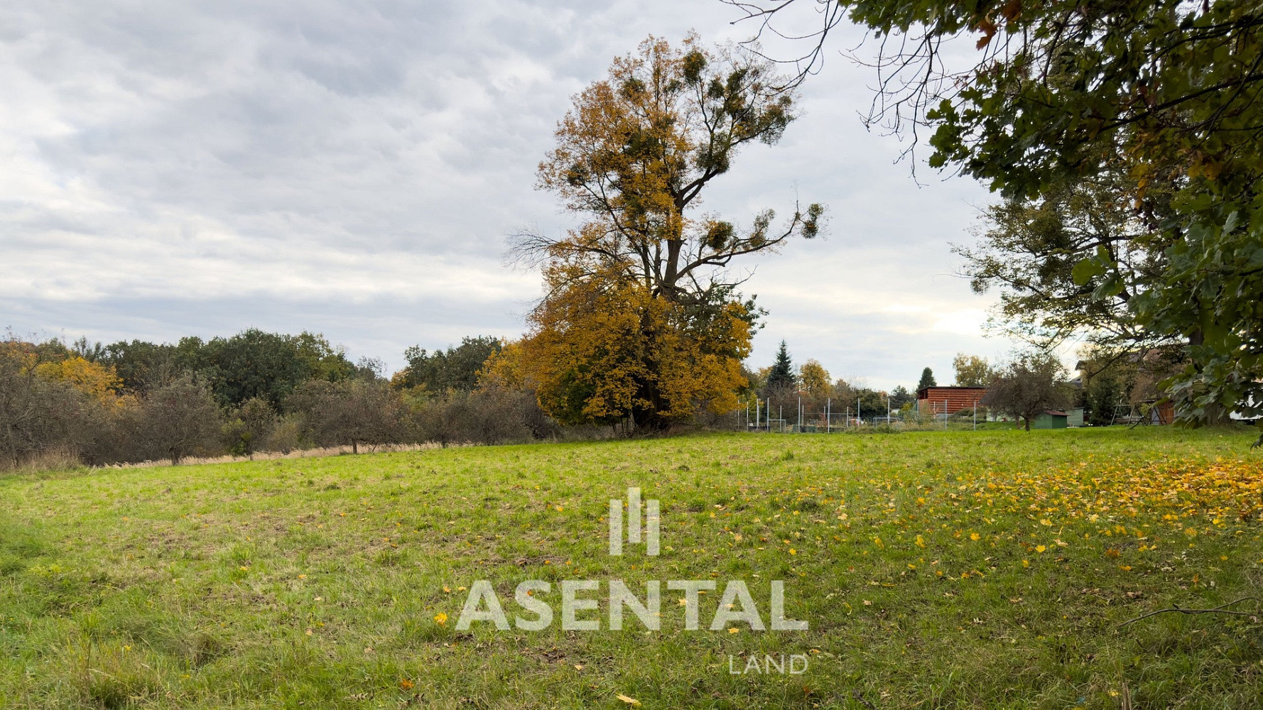 Prodej stavebního pozemku 3 287 m² – fotografie 5