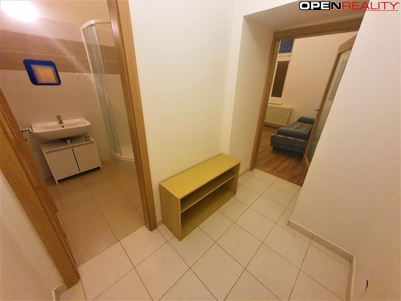 Pronájem bytu 1+1 33 m² – fotografie 2