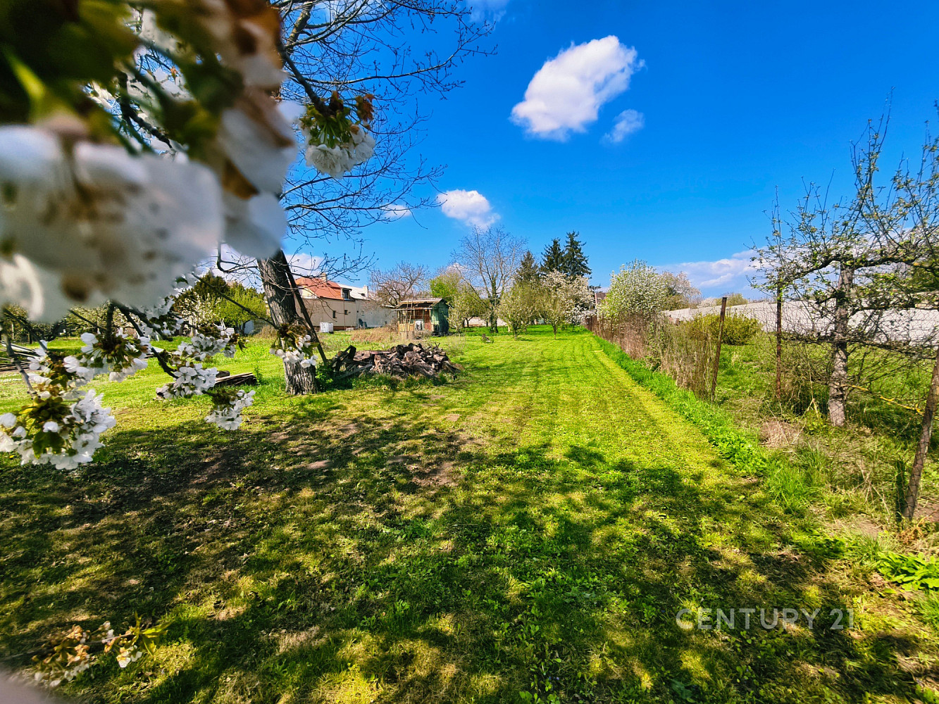Prodej stavebního pozemku 1 175 m² — photo 3
