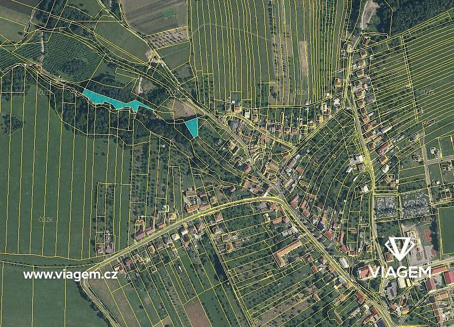 Prodej lesa 2 756 m² – fotografie 2