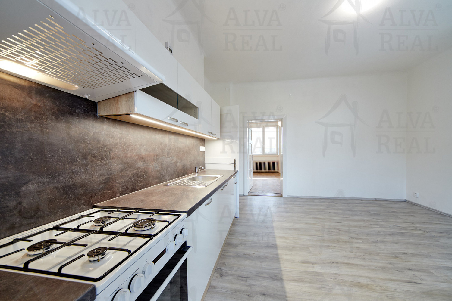 Prodej domu 354 m² s pozemkem 525 m² – fotografie 5