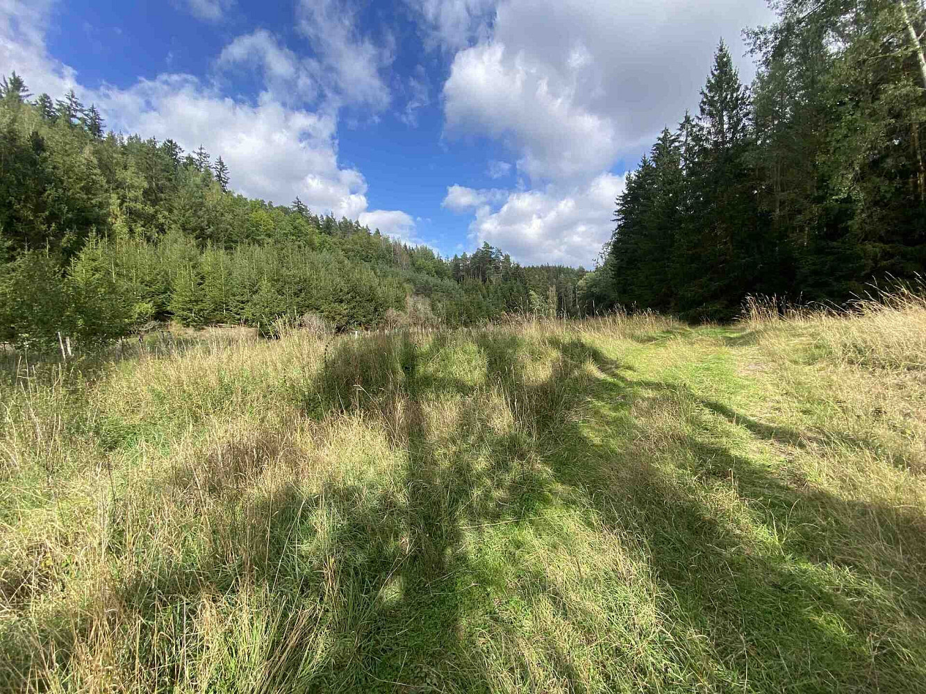 Prodej pole 7 068 m² – fotografie 2