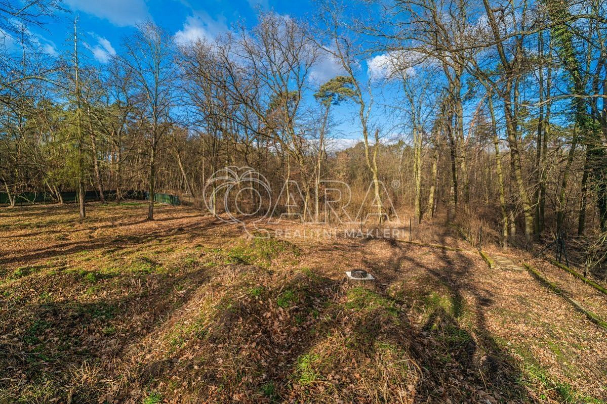 Prodej stavebního pozemku 6 090 m² – fotografie 5