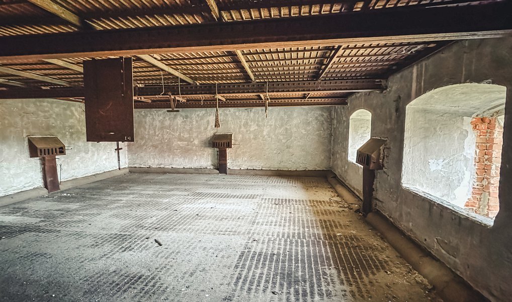Prodej komerčního objektu (jiného typu) 10 232 m², Netolice – náhled fotky 12