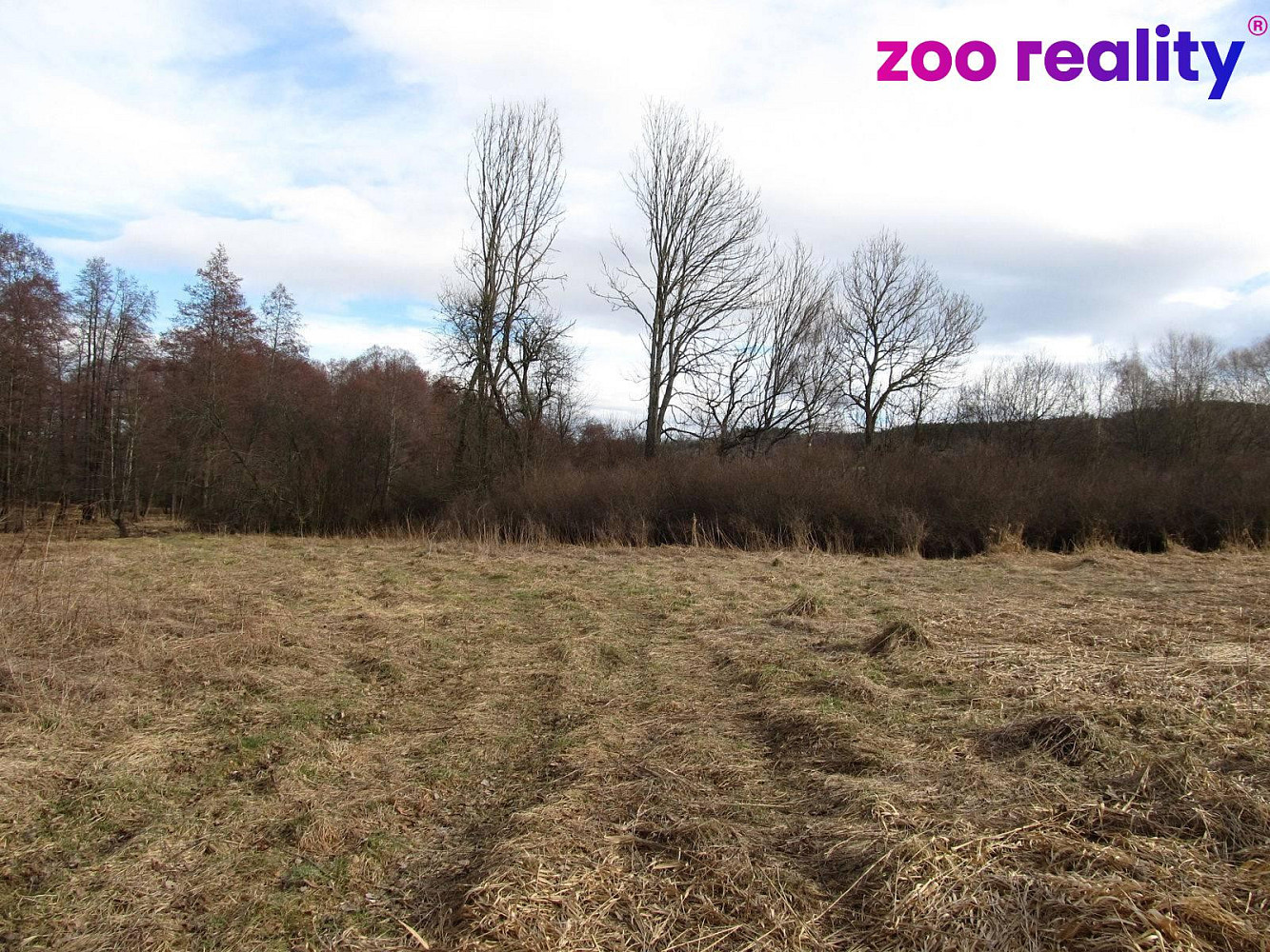 Prodej louky 11 151 m² — photo 2