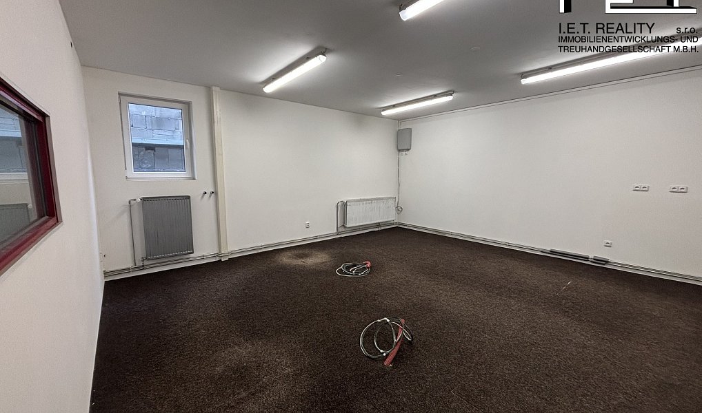 Pronájem výrobních prostor 260 m², Frýdek-Místek – náhled fotky 4