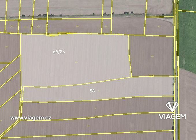 Prodej pole 7 716 m² – fotografie 3