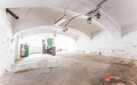 Prodej domu 700 m² s pozemkem 265 m², Pálená, Polička - Polička-Město, okres Svitavy