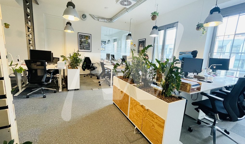 Pronájem kanceláře 337 m², Praha – náhled fotky 6