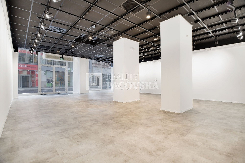 Pronájem obchodních prostor 210 m² – fotografie 3