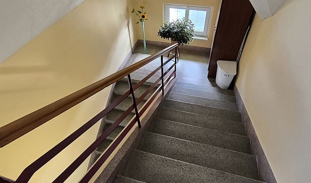 Prodej domu 330 m² s pozemkem 870 m², Aš – náhled fotky 15