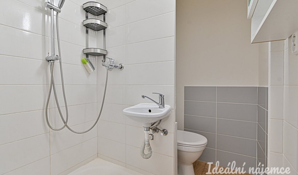 Pronájem bytu 1+1 35 m², Česká Třebová – náhled fotky 10