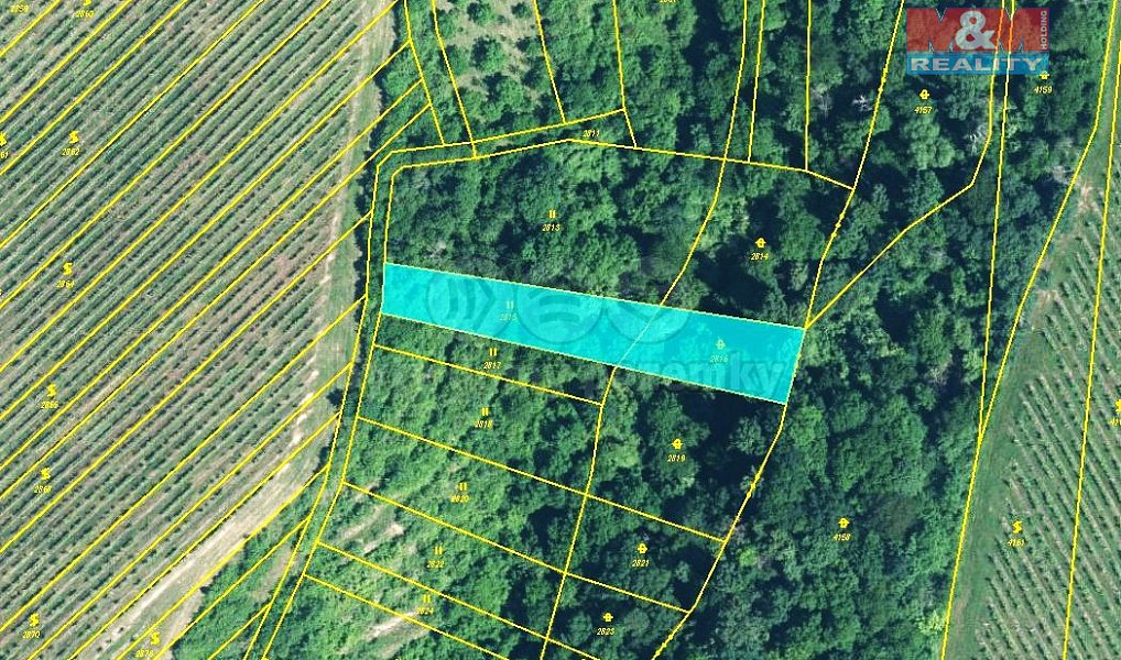 Prodej louky 1 633 m², Újezdec – náhled fotky 4