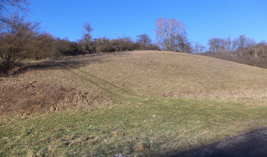 Prodej pozemku, 3880 m², Litoměřice, Snědovice