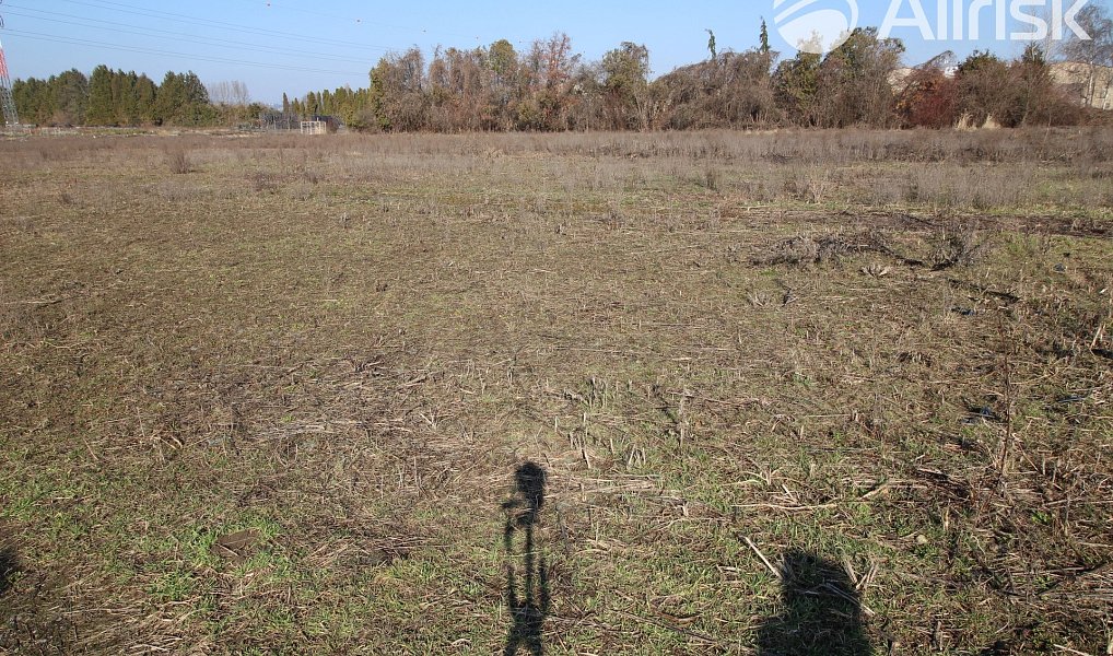 Pronájem pole 3 000 m², Brno – náhled fotky 3
