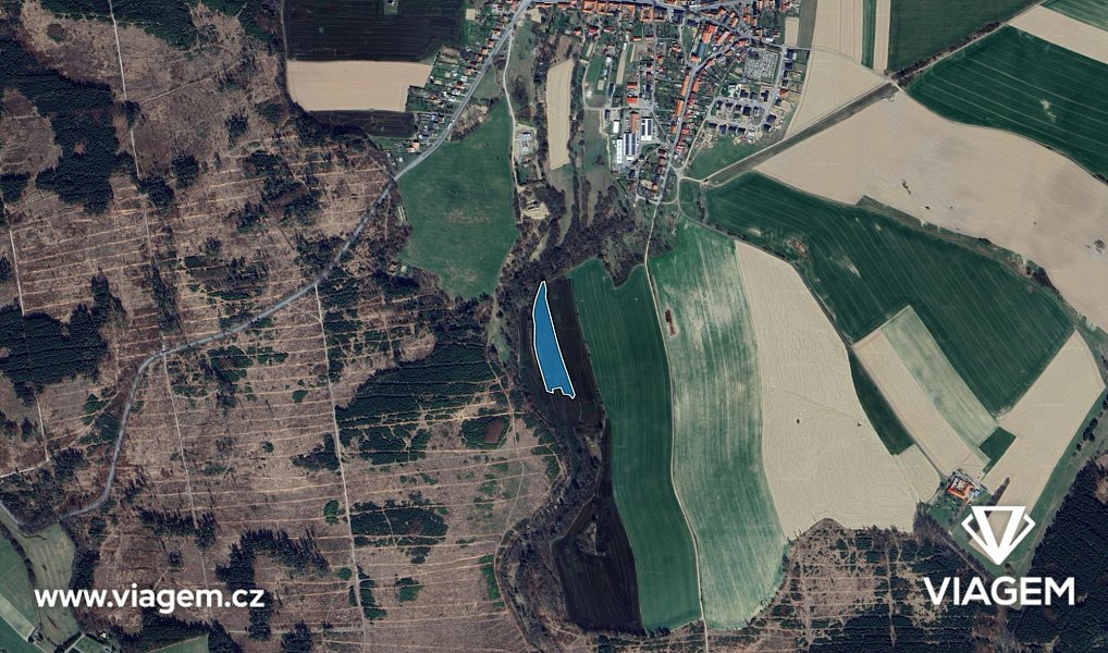 Prodej pole 4 216 m², Žďárná – náhled fotky 3