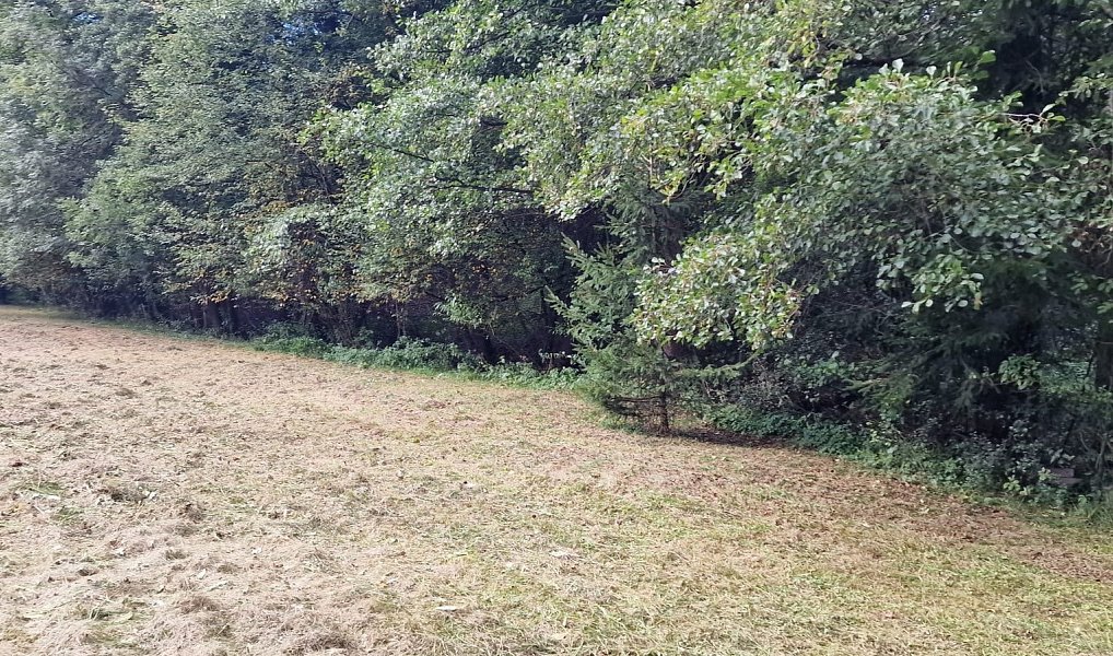 Prodej stavebního pozemku 1 832 m², Zbraslavice – náhled fotky 5