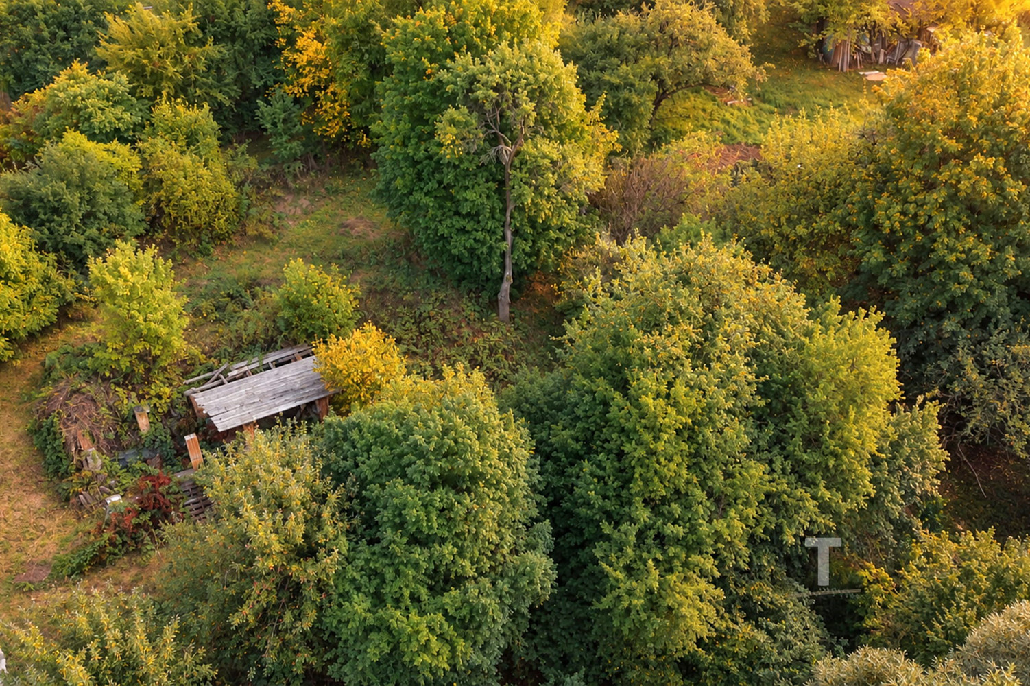 Prodej stavebního pozemku 858 m² – fotografie 3