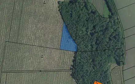 Prodej pozemku 996 m², Novosedly, okres Břeclav