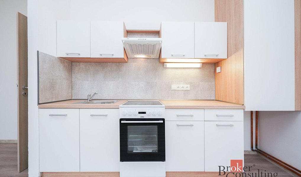 Pronájem bytu 2+kk 52 m², Mlékojedy – náhled fotky 2