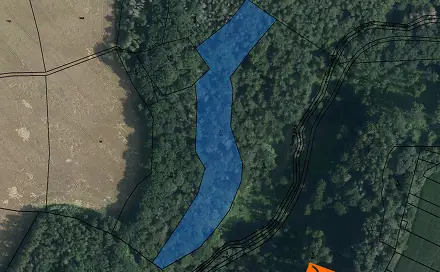 Prodej lesa 1 020 m², České Lhotice, okres Chrudim