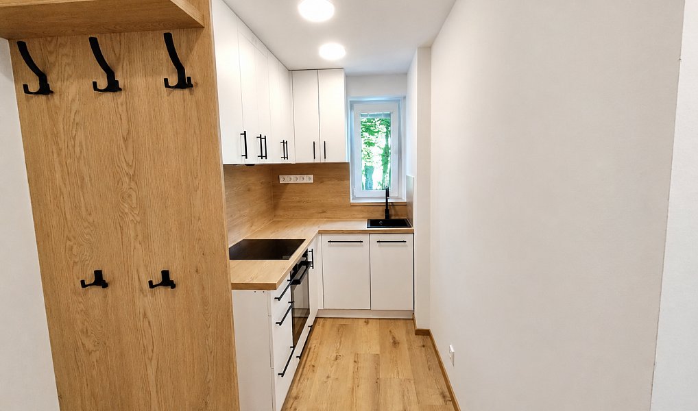 Pronájem bytu 2+1 40 m², Ostrava – náhled fotky 2