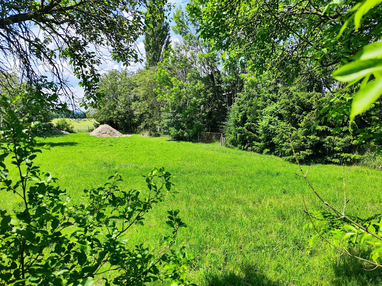 Prodej stavebního pozemku 1 655 m² – fotografie 3
