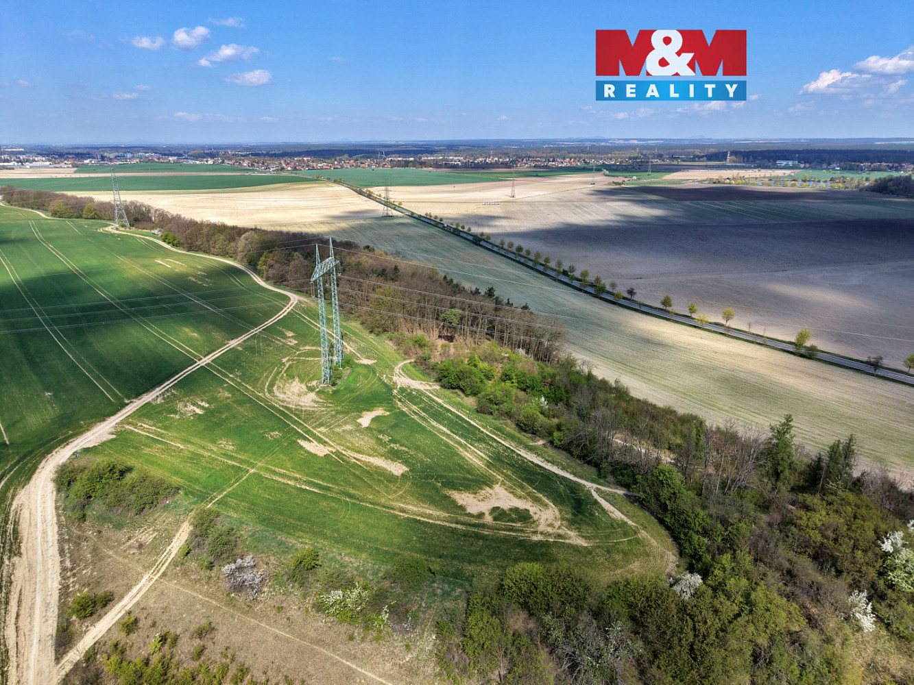 Prodej lesa 4 629 m²