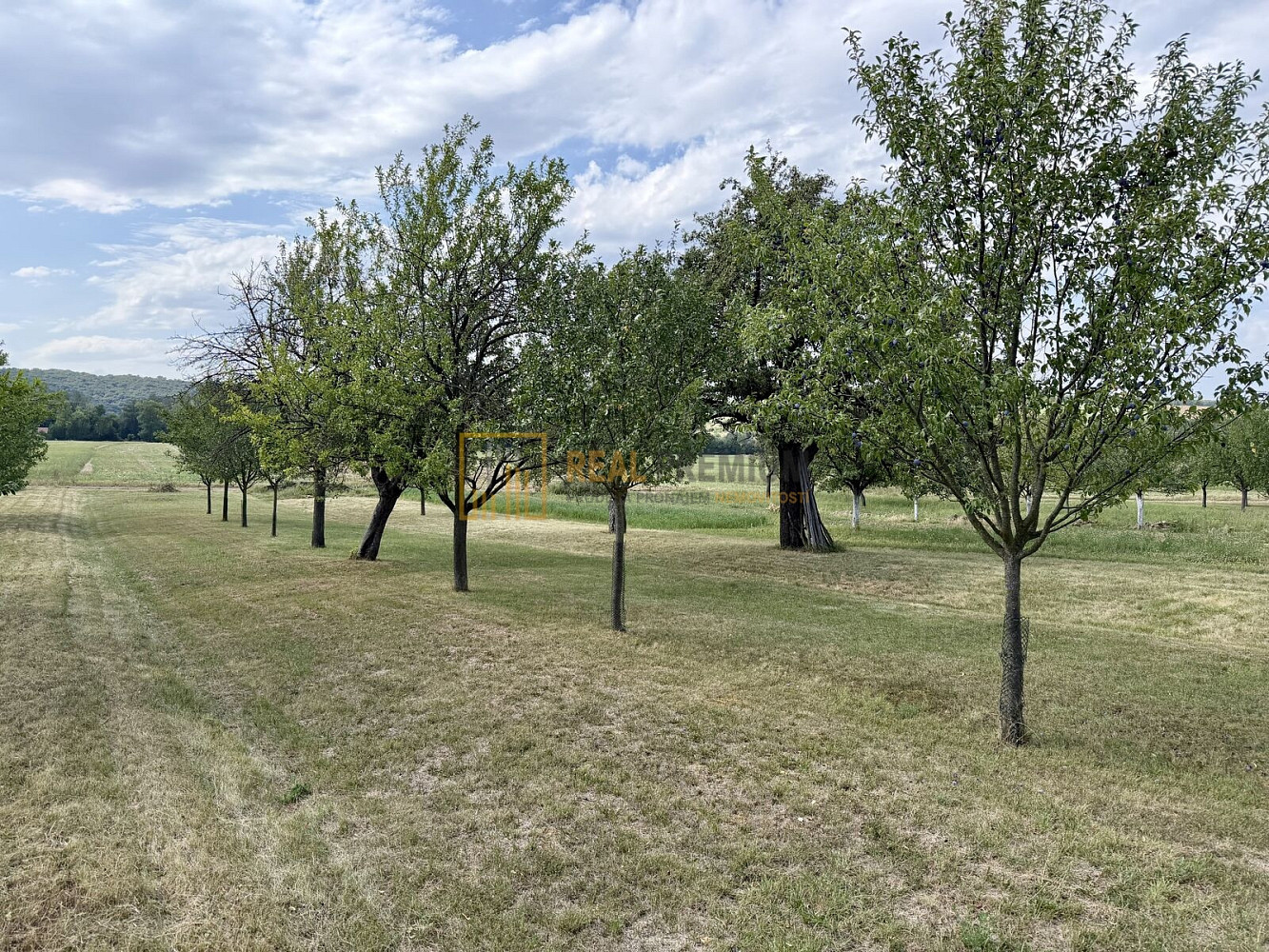 Prodej pole 8 142 m² – fotografie 2
