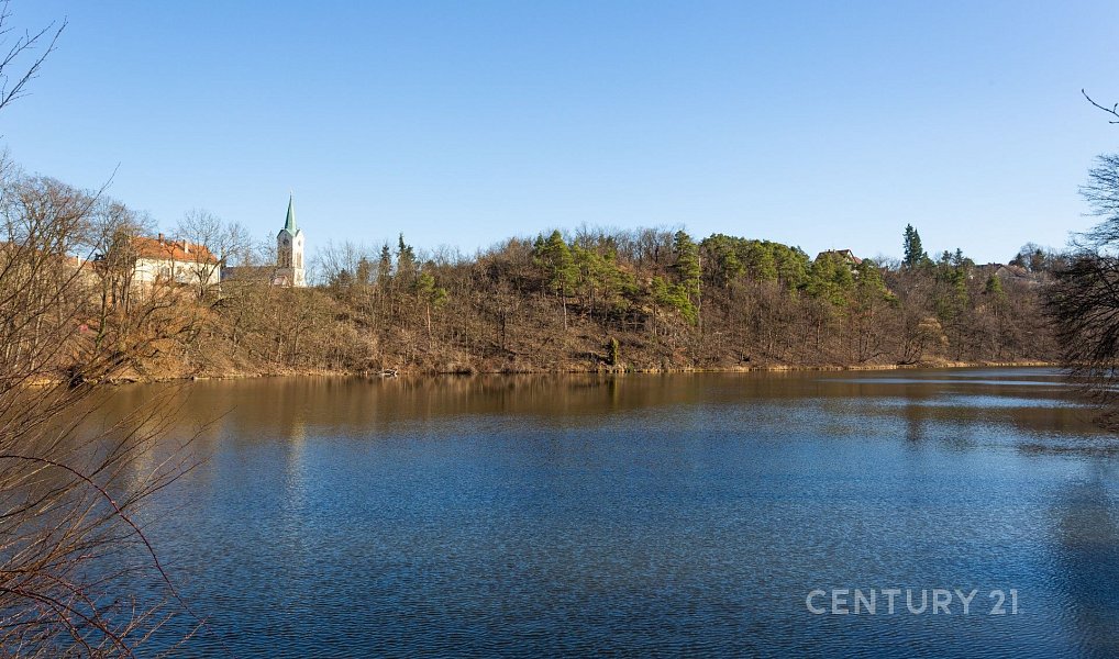Prodej stavebního pozemku 79 028 m², Mníšek pod Brdy – náhled fotky 10