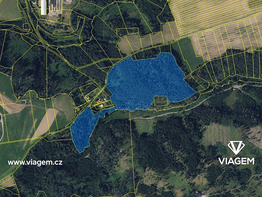 Prodej lesa 1 470 m² – fotografie 3