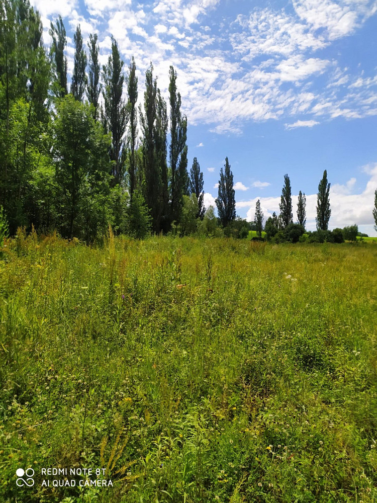 Prodej komerčního pozemku 5 093 m² – fotografie 2