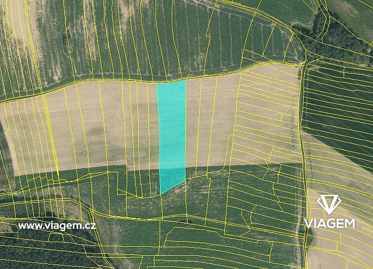 Prodej pole 1 371 m² – fotografie 3