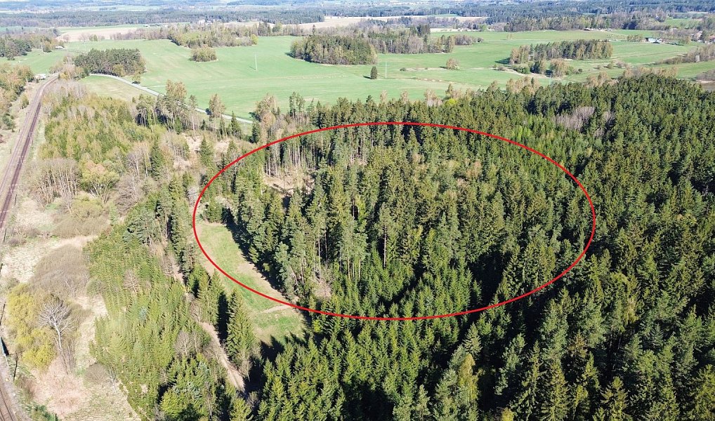 Prodej lesa 32 111 m², Bednáreček – náhled fotky 2