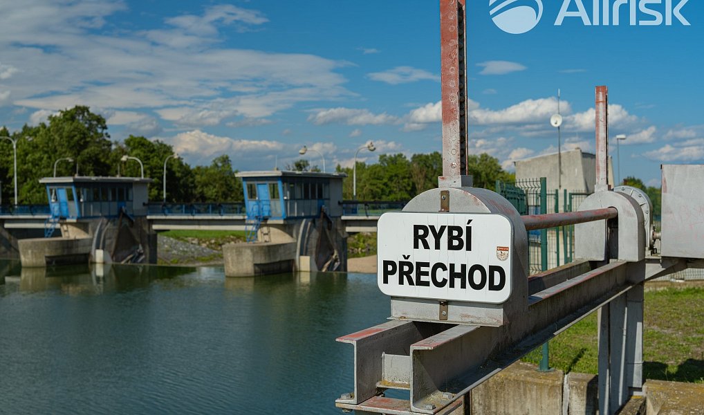 Prodej stavebního pozemku 604 m², Bulhary – náhled fotky 11